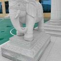 来宾 白麻花岗岩动物异形石雕-大象