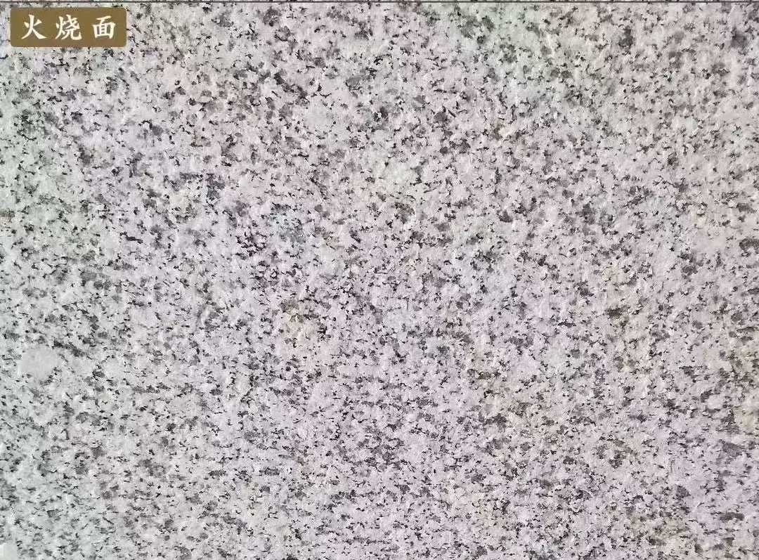 来宾白麻火烧面