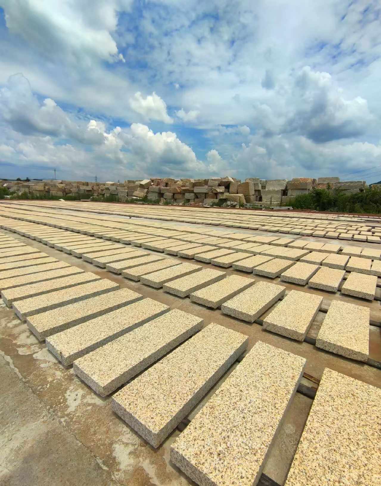 来宾 黄金麻荔枝面花岗岩石材地铺石防护中