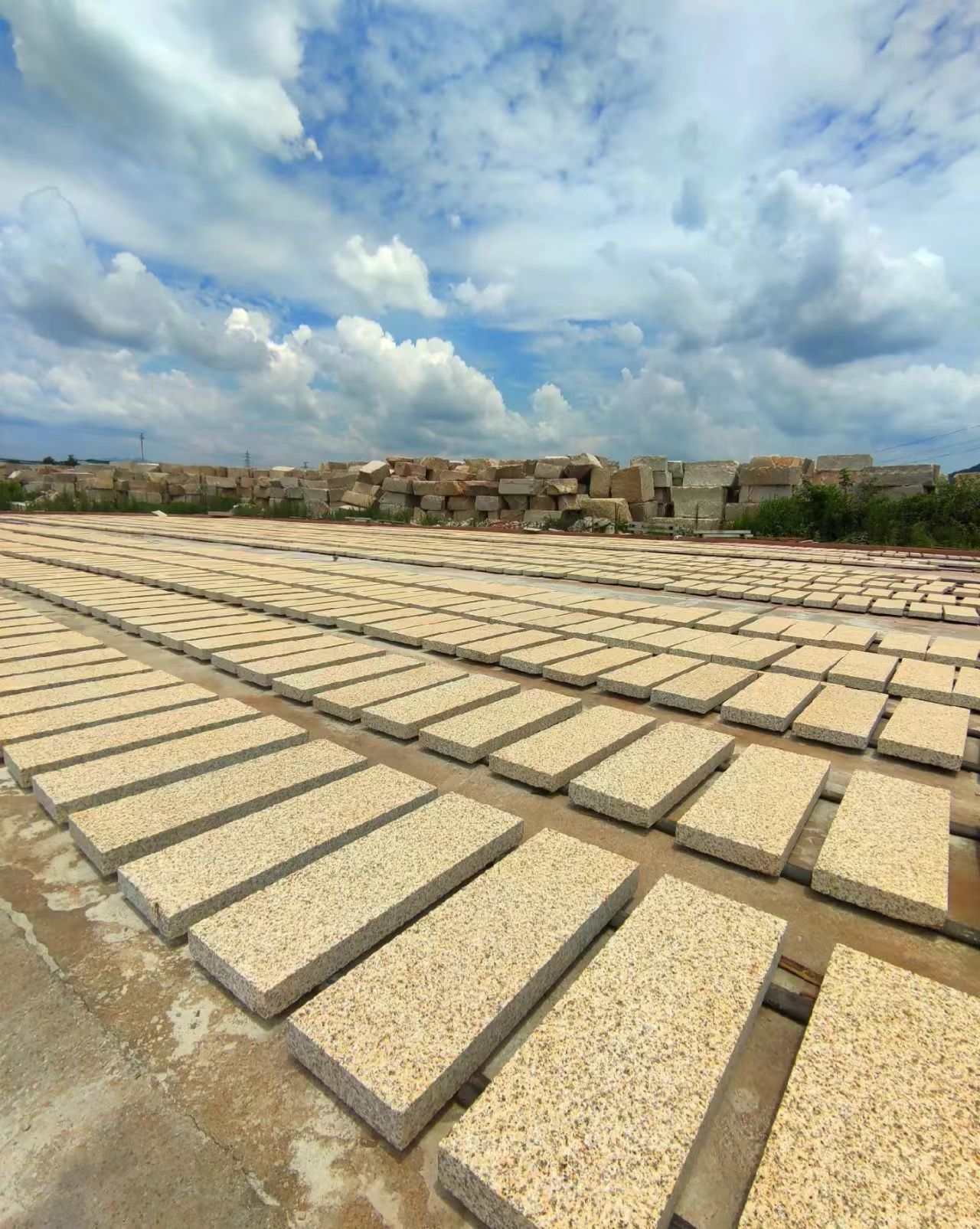 来宾 黄金麻花岗岩荔枝面地铺石防护中